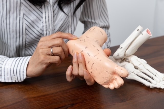 観足骨格鑑定士養成コース